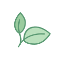 eco-responsable