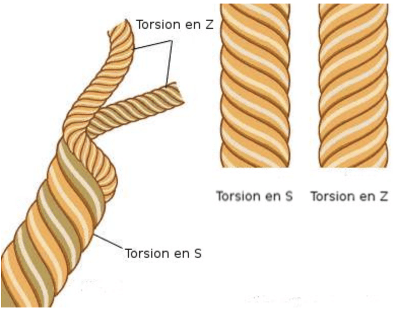 schema torsion fil