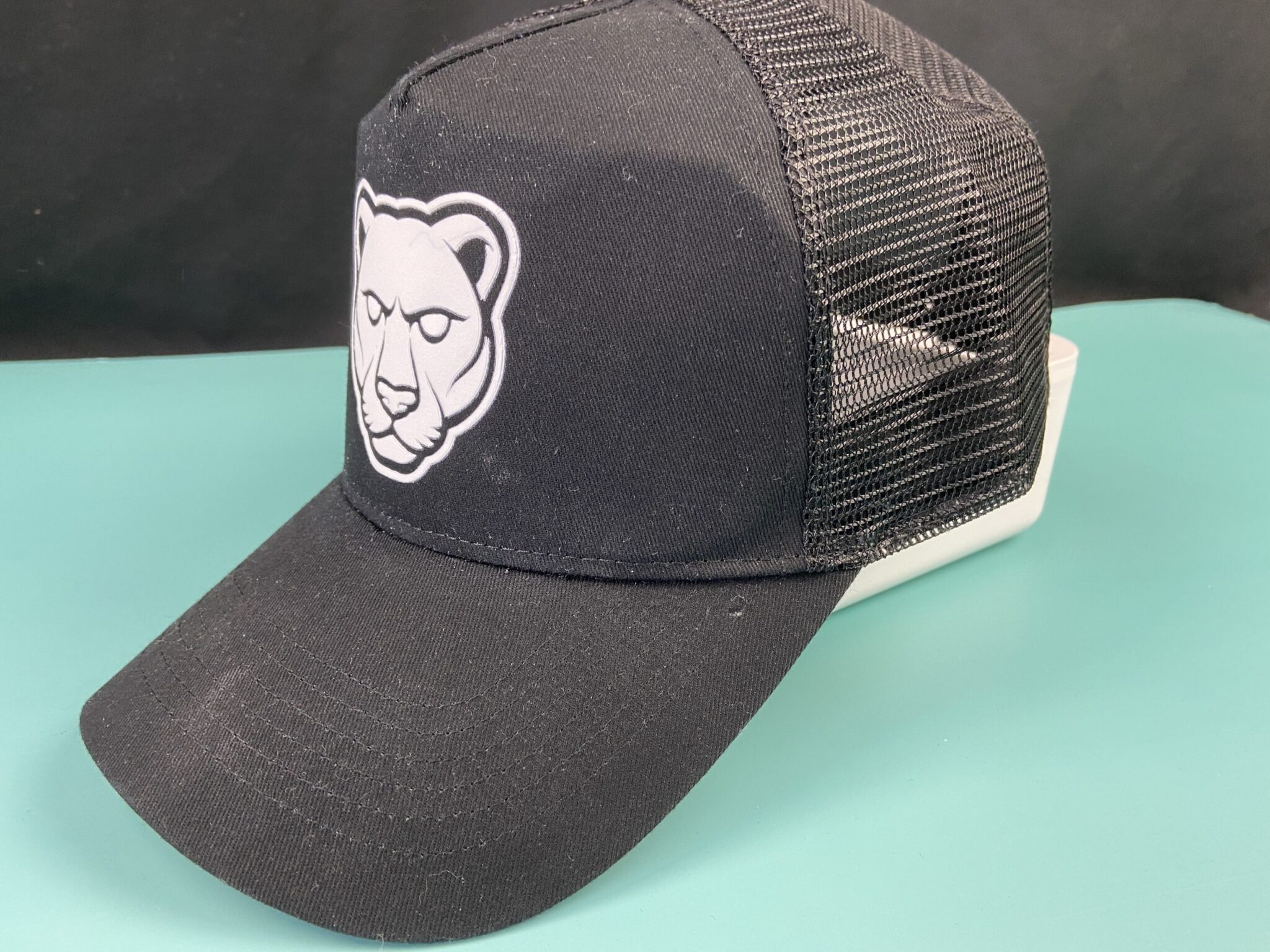 casquette filet the gymnase