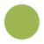 Vert clair 67