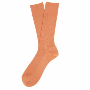 ps ns800 apricot