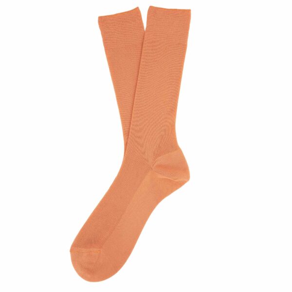 ps ns800 apricot