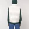 bodywarmer stanley climber
