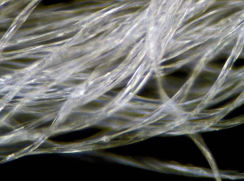 fibre polyester