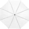 parapluie droit starter